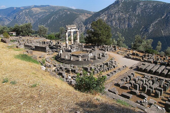 2-Day Delphi & Olympia Tour with Olive Oil & Honey Tasting - What the private car and driver change