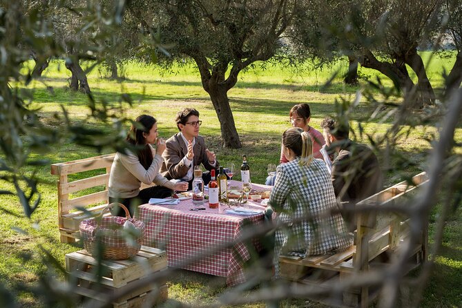 2-Hour Picnic among the Olive Trees with Typical Abruzzese Products - Walking to the olive grove and settling under the trees