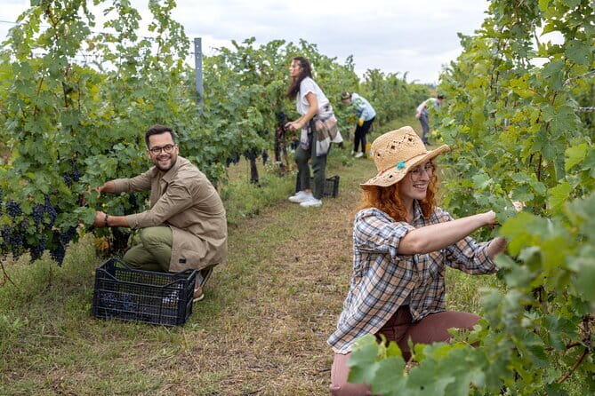 4 Wines & 2 Olive Oils Tasting in Chianti Winery with Tour - The family welcome is part of the value