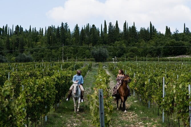 4 Wines & 2 Olive Oils Tasting in Chianti Winery with Tour - Getting to Via di Perseto