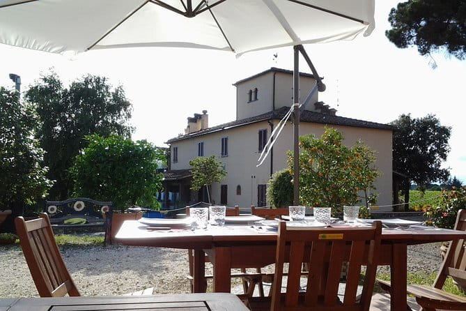 4 Wines & 2 Olive Oils Tasting in Chianti Winery with Tour - The olive oil tasting is a real part of the visit