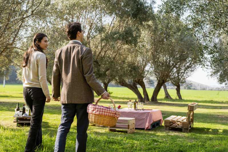 Abruzzo: Country Picnic in an Olive Grove at a Winery - Arriving at Cantina Mazzarosa