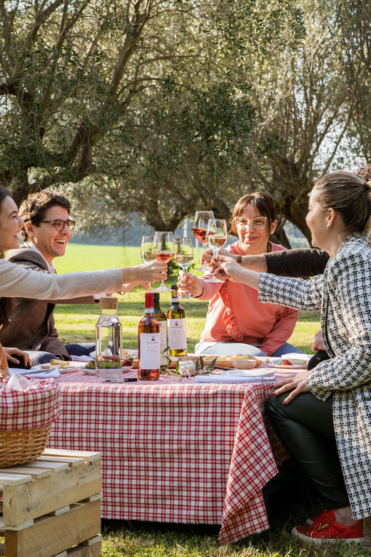 Abruzzo: Country Picnic in an Olive Grove at a Winery - Practical Booking Advice