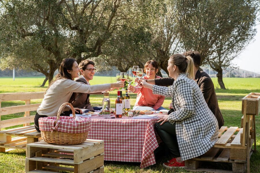 Abruzzo: Country Picnic in an Olive Grove at a Winery - What Comes in the Picnic Basket