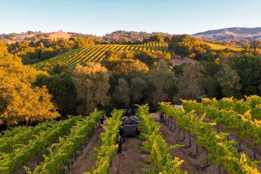 Afternoon: Tour Soap, Olive Oil, Wine Stories of Peza Valley - FAQ