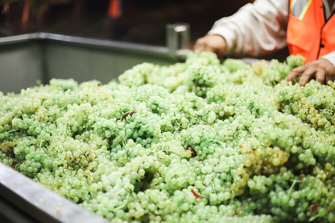 Afternoon Tour: Soap, Olive Oil & Wine Stories of Peza Village - Meeting the winemaker over Vidiano and Kotsifali