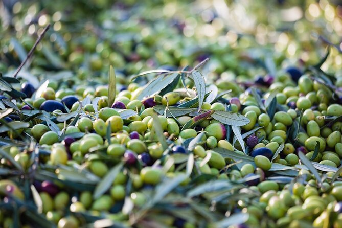 Afternoon Tour: Soap, Olive Oil & Wine Stories of Peza Village - The guide and the pace of the afternoon