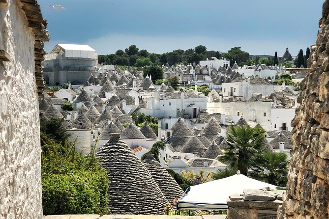 Alberobello : Group or Private Walking Tour & Olive Oil Tasting - Key points to know before booking