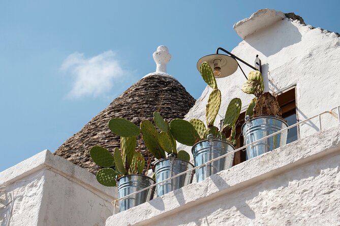 Alberobello : Group or Private Walking Tour & Olive Oil Tasting - Stepping inside an authentic trullo