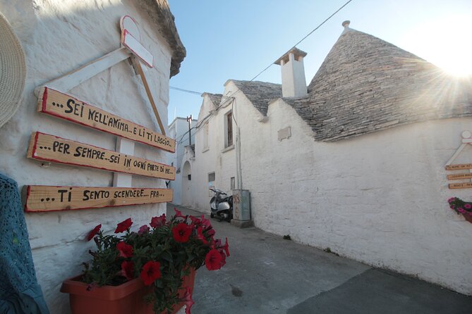 Alberobello : Group or Private Walking Tour & Olive Oil Tasting - What the $66.16 price means