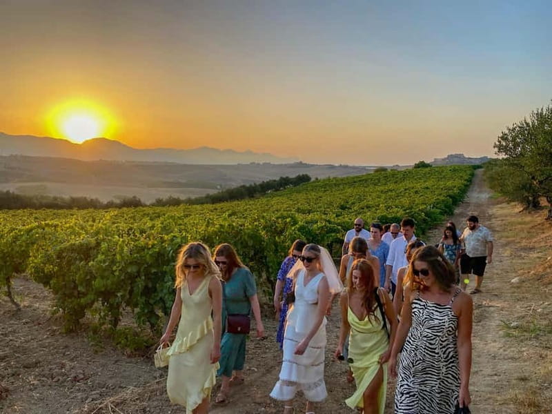 Alcamo: Natural Wine & Olive Oil Tasting - Sicily - A farm visit that links wine, oil, and honey