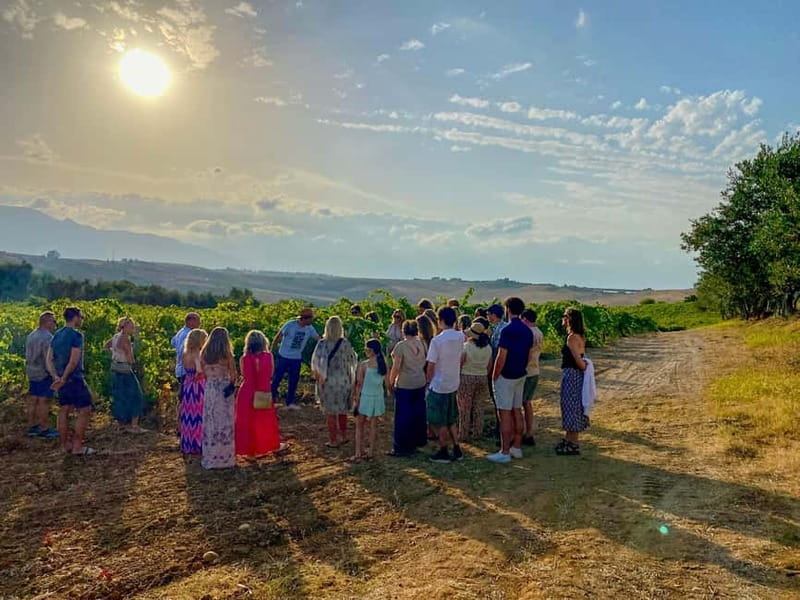 Alcamo: Natural Wine & Olive Oil Tasting - Sicily - Why the food pairings matter