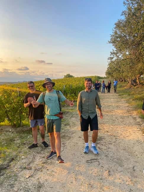 Alcamo: Natural Wine & Olive Oil Tasting - Sicily - Walking through the vineyard near Alcamo