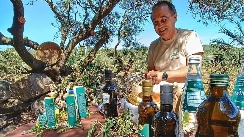 Alghero: Olive Grove Visit with Olive Oil Tasting - Key points to know before you go