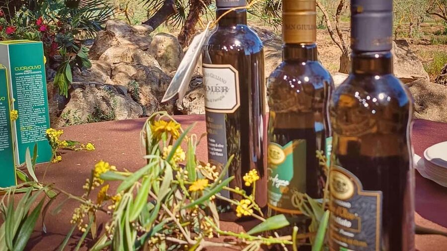 Alghero: Olive Grove Visit with Olive Oil Tasting - A quiet introduction to Sardinia’s olive country