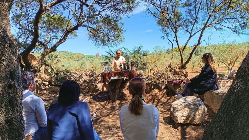 Alghero: Olive Grove Visit with Olive Oil Tasting - Learning how Sardinian oil is produced