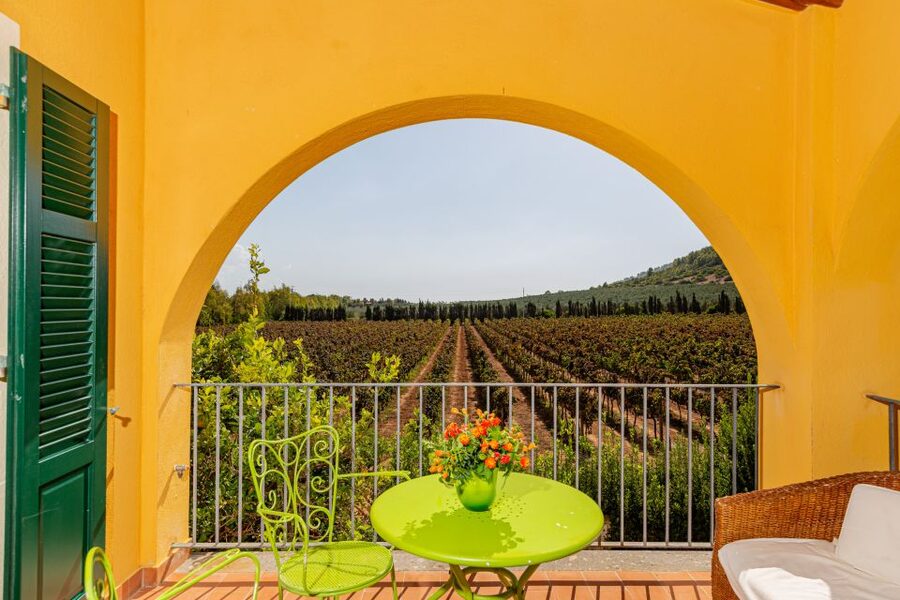 Alghero: Wine and Olive Oil Tasting at a Local Farm - Five wines, five different food matches