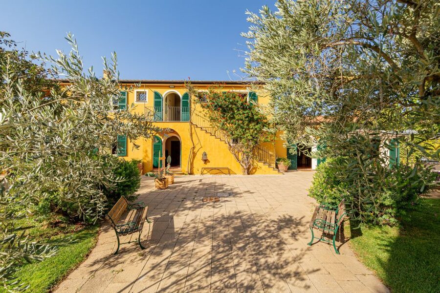Alghero: Wine and Olive Oil Tasting at a Local Farm - Walking among the vines and olive trees