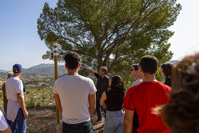Alicante Olive Oil Tour - From Alicante to the olive groves