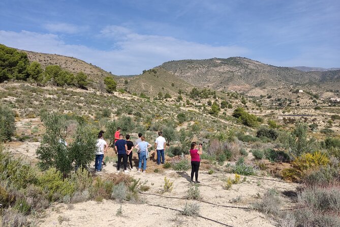 Alicante Olive Oil Tour - Who will enjoy this half-day outing