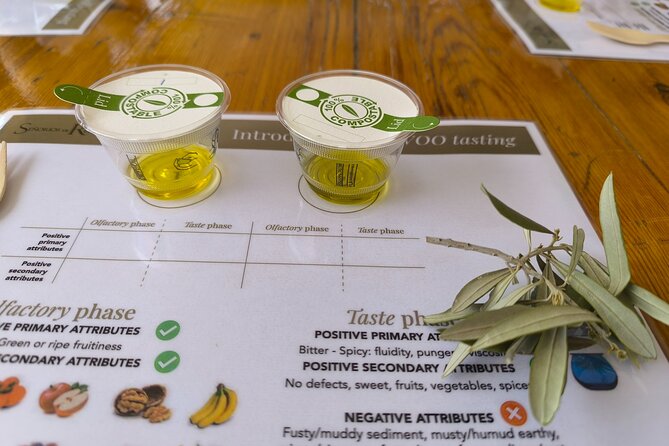 Alicante Olive Oil Tour - Practical details before you book