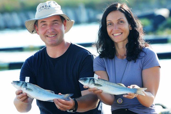 An Unforgettable Day With Fish, Wine and Olive Oil Tasting - What you learn at Fonda Fish Garden
