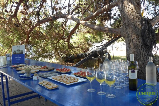 An Unforgettable Day With Fish, Wine and Olive Oil Tasting - Practical details before you reserve