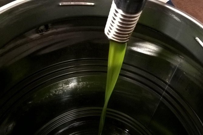 Apprentice Olive Oil taster for a day! - Learning what extra virgin olive oil should taste like