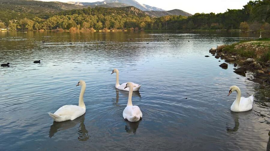 Argostoli & Beyond: Culture, Villages, Olive Oil & Honey - Katavothres, where the sea disappears