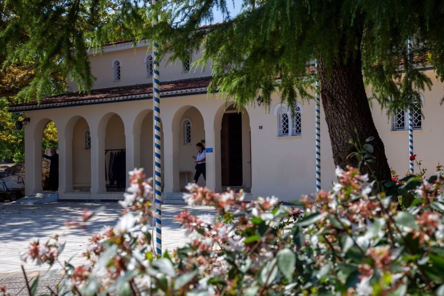 Argostoli & Beyond: Culture, Villages, Olive Oil & Honey - Olive oil and honey at the local boutique