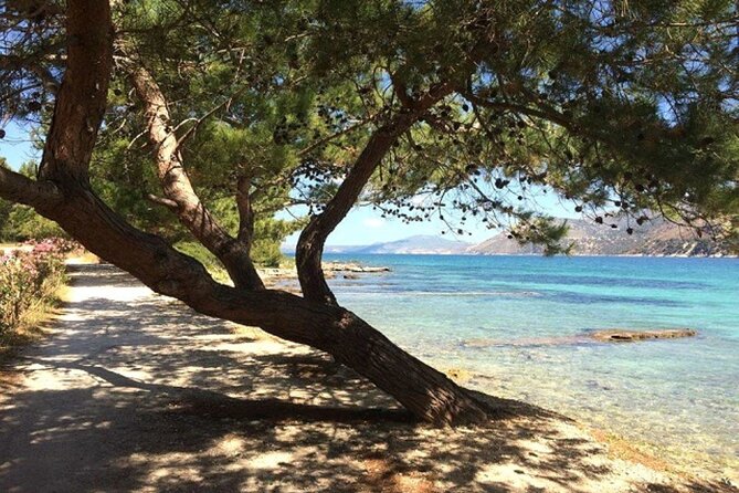 Argostoli & Beyond: Villages, Olive Oil & Honey Tasting - Koutavos Lagoon closes the Argostoli circuit