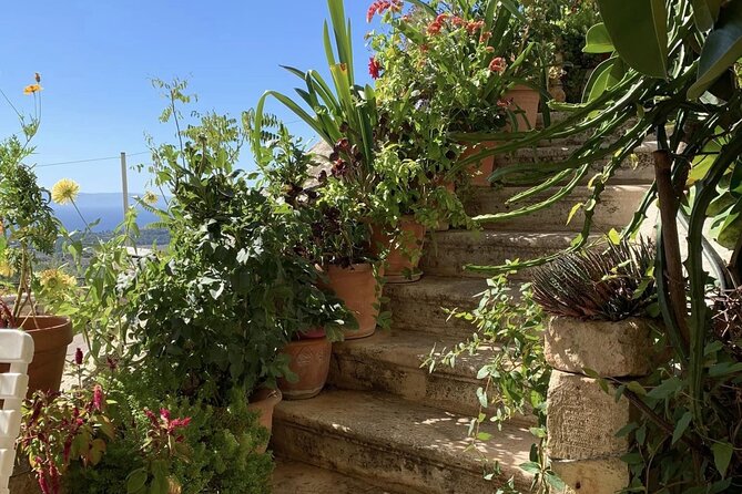 Argostoli & Beyond: Villages, Olive Oil & Honey Tasting - Guides, weather, and the best way to approach the day