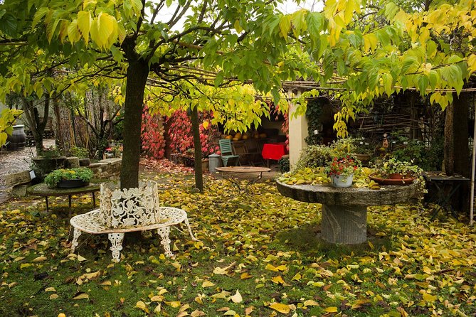 Assisi, Deruta & organic gourmet lunch at the olive oil farmhouse from SIENA - How the $671.41 price adds up