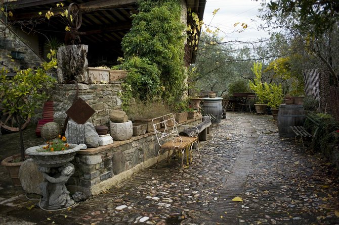 Assisi, Deruta & organic gourmet lunch at the olive oil farmhouse from SIENA - Booking details worth knowing