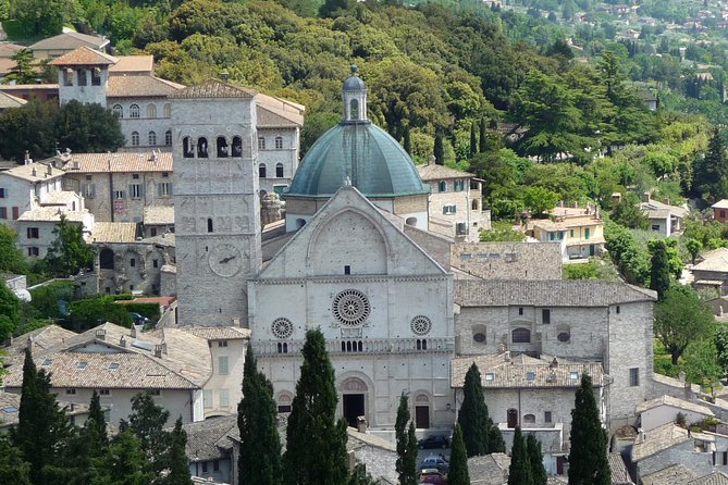 Assisi, Deruta & organic gourmet lunch at the olive oil farmhouse from SIENA - Bevagna farmhouse lunch and Umbrian olive oil