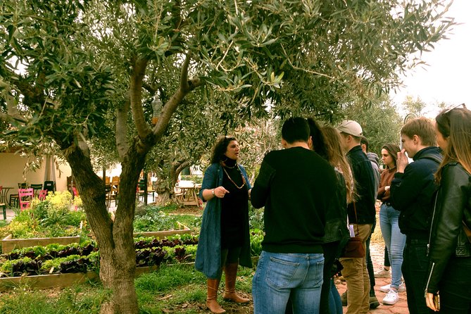 ATHENS OLIVE ESTATE - Olive Oil Workshop with Farm-to-Fork Lunch - Practical details before you book