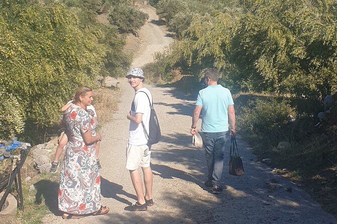 Authentic Olive Oil and Cultural Experience in Crete - Walking Through the Olive Groves in Kritsa