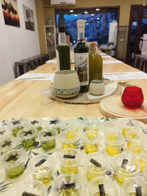 Baeza: Olive Oil Tasting Experience - The first lesson: from olive tree to oil
