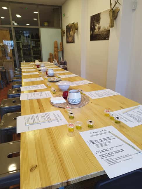 Baeza: Olive Oil Tasting Experience - Meeting at La Casa del Aceite on Plaza de la Constitución