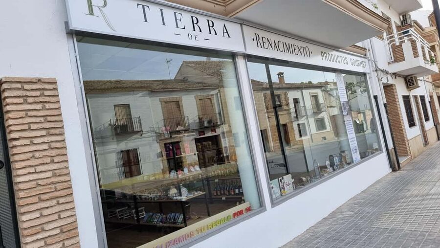 Baeza: Visit to an Organic Olive Grove + Oil Tasting - Meeting at Tierra de Renacimiento in Baeza