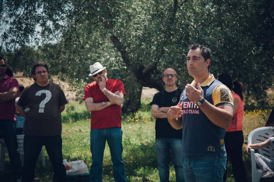 Baeza: Visit to an Organic Olive Grove + Oil Tasting - What organic farming adds to the visit