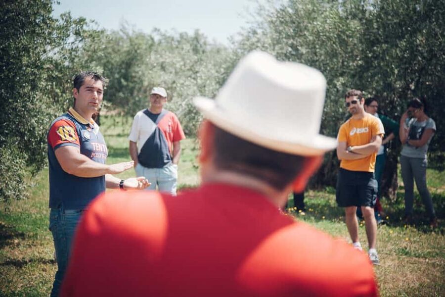 Baeza: Visit to an Organic Olive Grove + Oil Tasting - Is $23 a fair price?