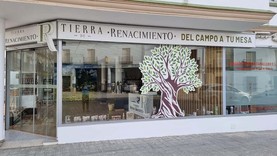 Baeza: Visit to an Organic Olive Grove + Oil Tasting - Walking among the organic olive trees