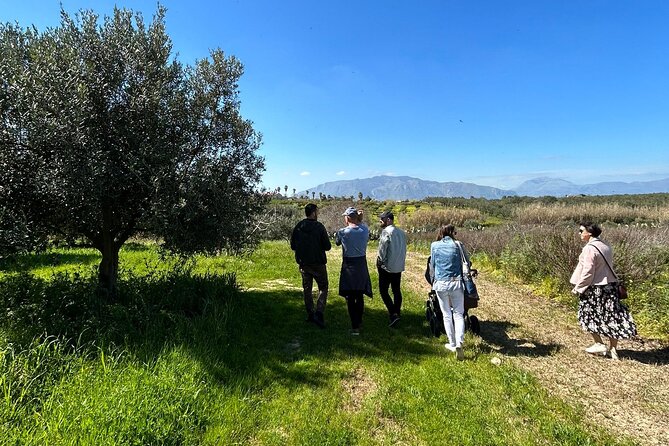 Balestrate Olive Grove Tour: Wine and Olive Oil Tasting - The family table at the grandparents’ home