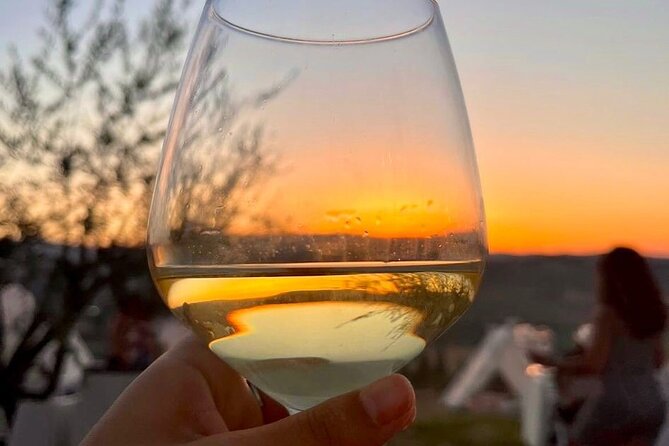 Balestrate Olive Grove Tour: Wine and Olive Oil Tasting - Price, group size, and overall value