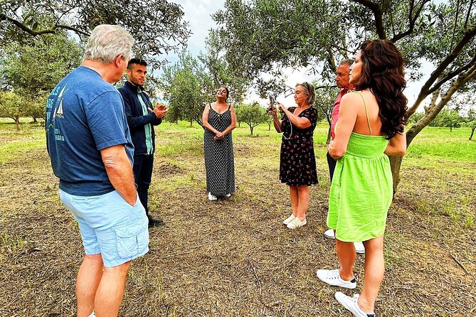 Balestrate Olive Grove Tour: Wine and Olive Oil Tasting - Should you book the Balestrate olive grove tour?