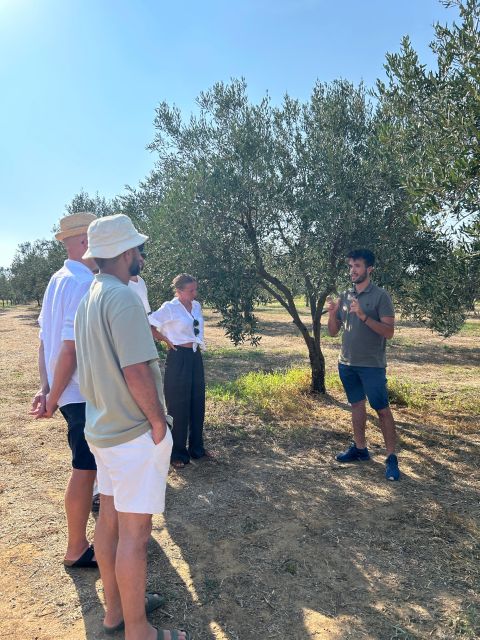 Balestrate: Olive Grove Tour with Wines & Olive Oil Tasting - Who will enjoy this most