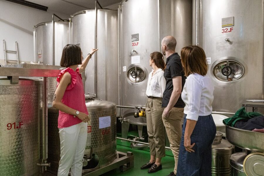 Bardolino: Lake Garda Oil Mill Tour with Olive Oil Tasting - Why olive oil makes sense in Bardolino