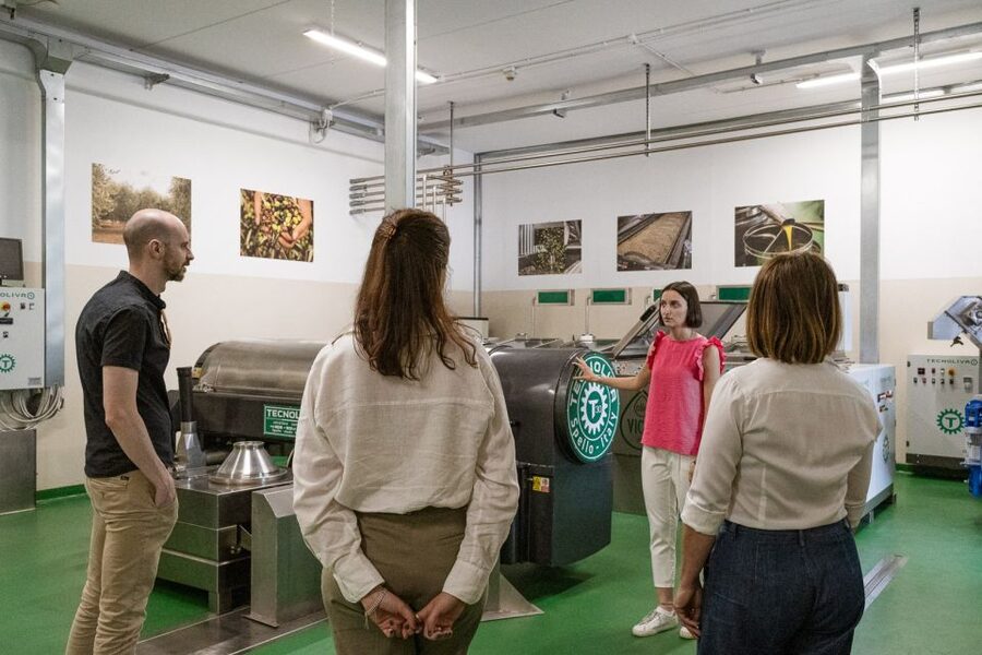 Bardolino: Lake Garda Oil Mill Tour with Olive Oil Tasting - Timing, group size, and the practical trade-offs