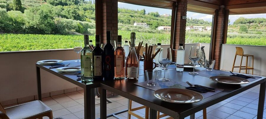 Bardolino: Vineyard Tour with Wine, Olive Oil & Food Tasting - Key points at a glance